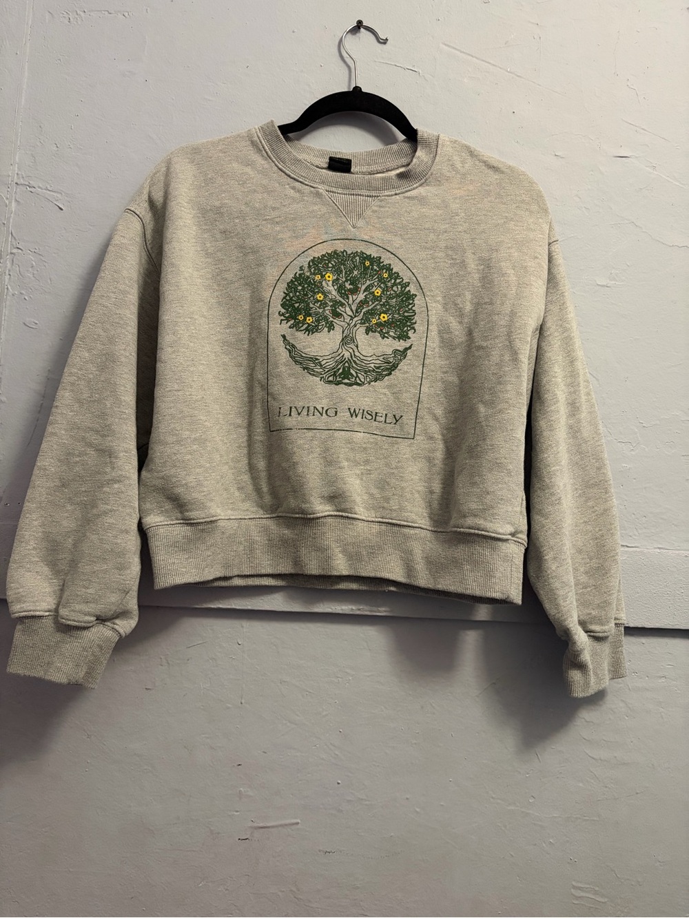 Urban Outfitters Gray Crewneck Cropped Sweatshirt